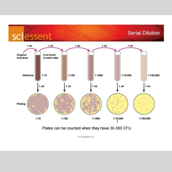 Last set - Set of 5 - Antibacterial Cotton Mask - Picture 10 of 16